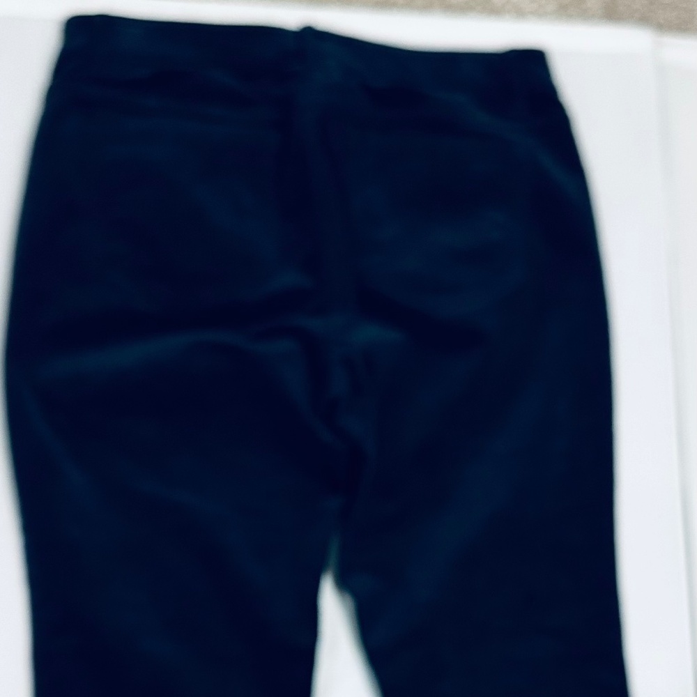 J.Jill Women’s Size 8 Gorgeous Jeweled Color Navy Blue Corduroy Pants - Picture 3 of 4